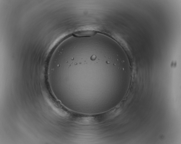 X0000111160108200906301410