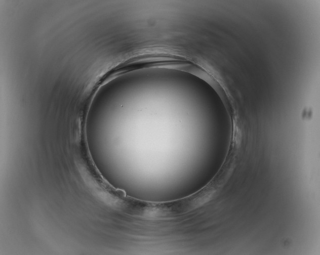 X0000111160109200906301410