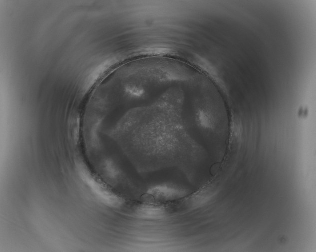 X0000111160110200906301410