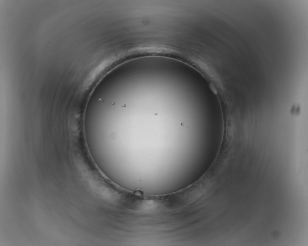 X0000111160111200906301410