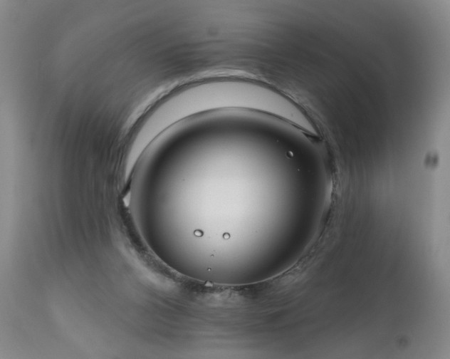X0000111160112200906301410