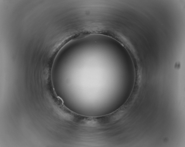 X0000111160113200906301410