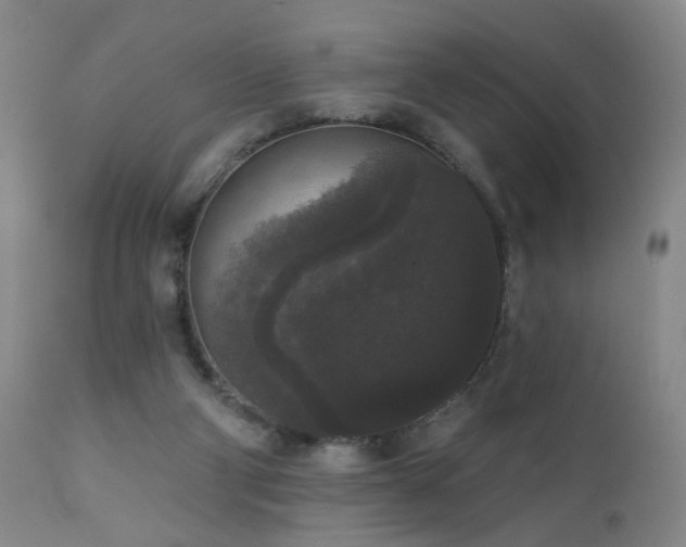 X0000111160114200906301410