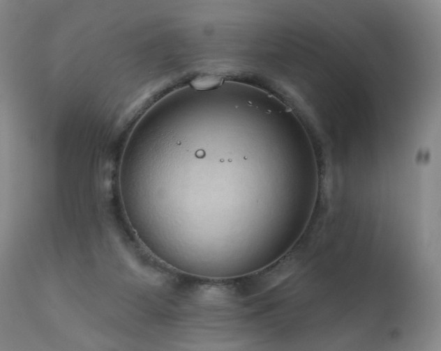 X0000111160115200906301410