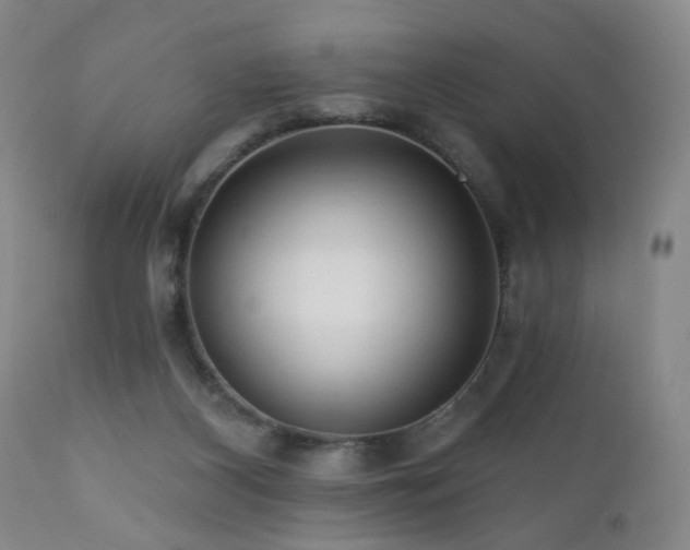 X0000111160116200906301410