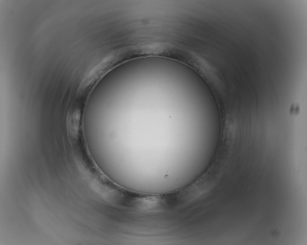 X0000111160118200906301410