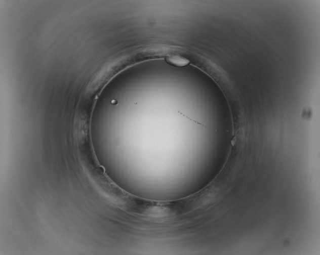 X0000111160119200906301410