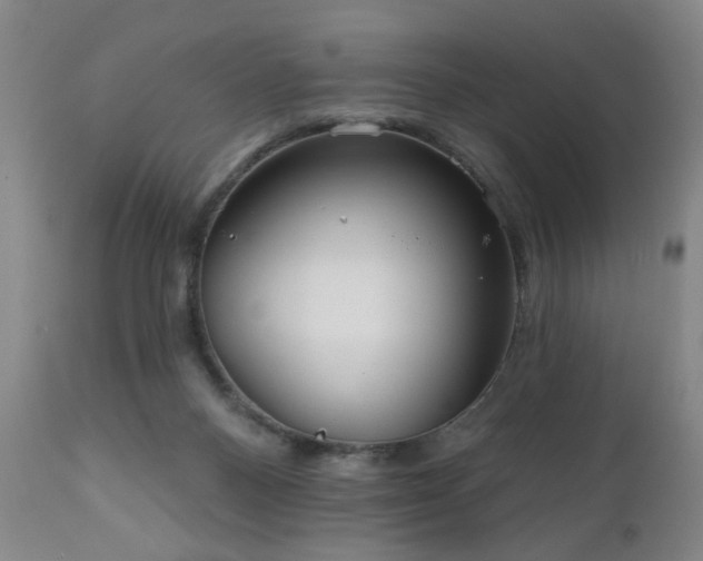 X0000111160120200906301410