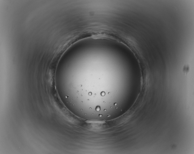 X0000111160121200906301410