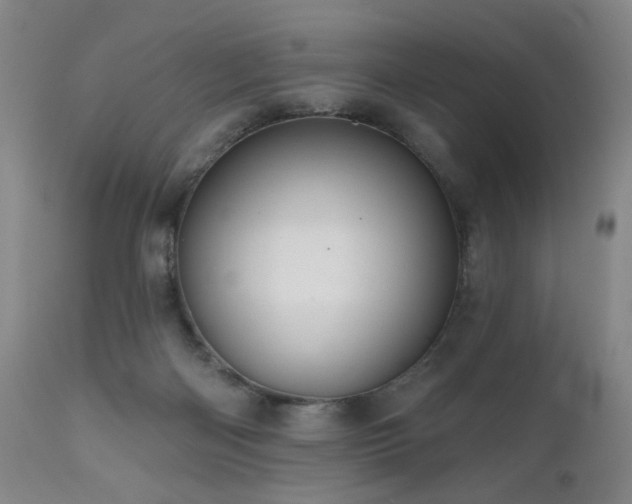 X0000111160122200906301410