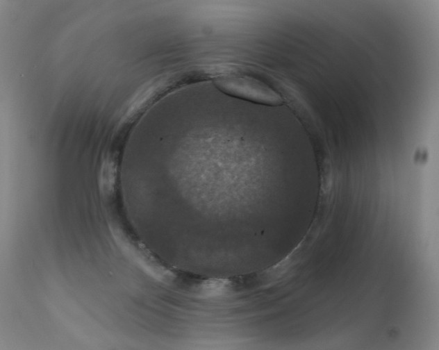 X0000111160124200906301410