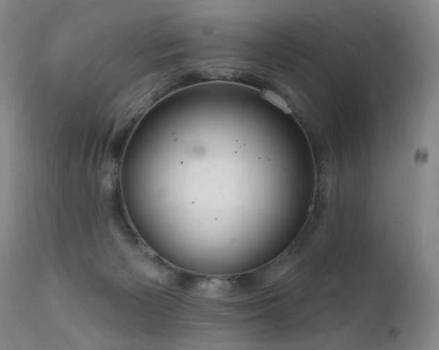 X0000111160125200906301410