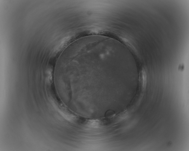 X0000111160127200906301410