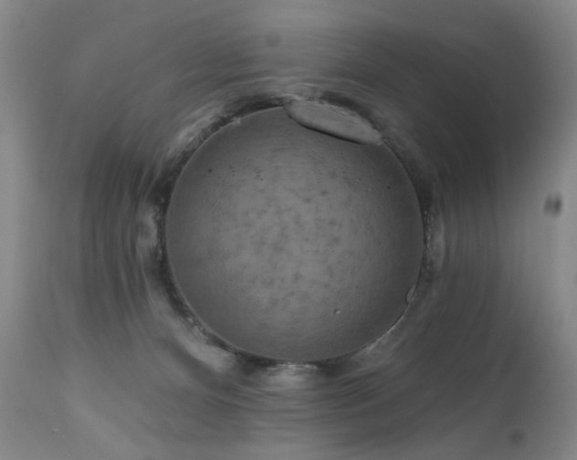 X0000111160128200906301409