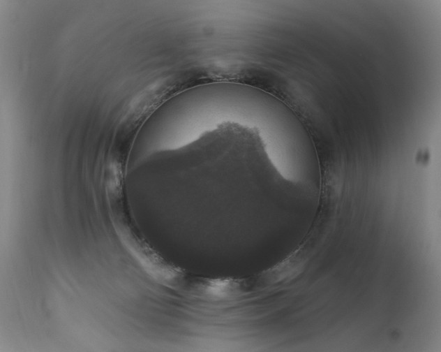 X0000111160130200906301409