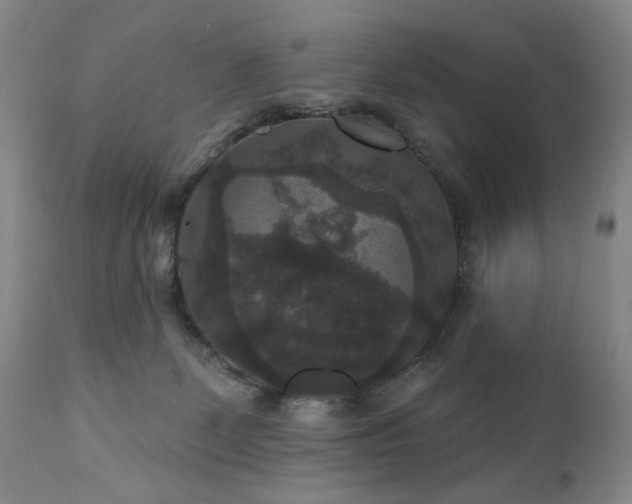 X0000111160131200906301409