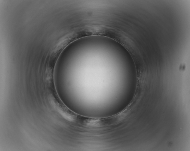 X0000111160132200906301409