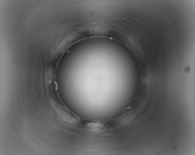 X0000111160133200906301409