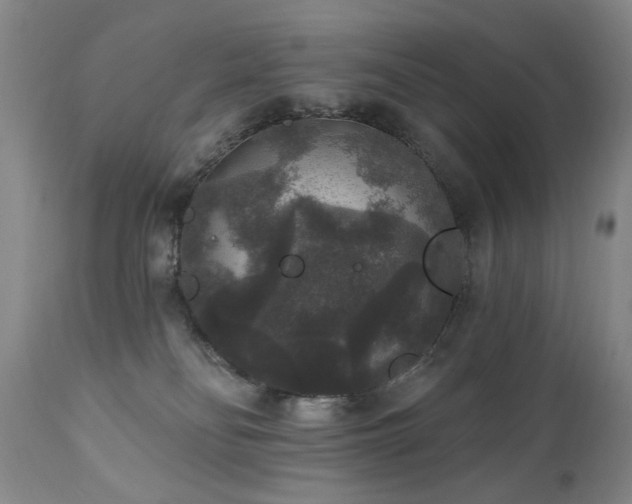 X0000111160134200906301409