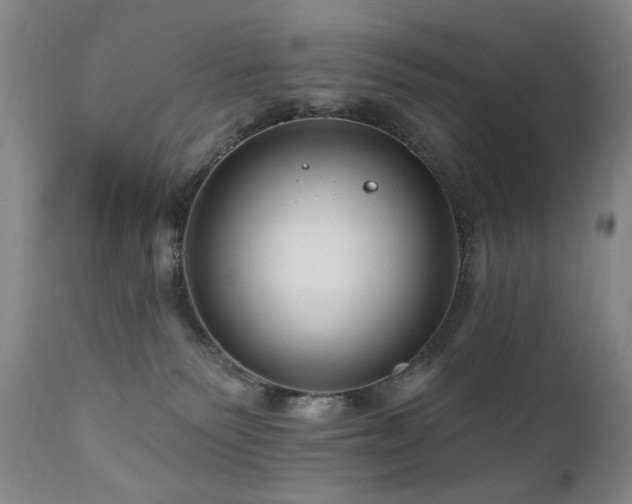 X0000111160135200906301409
