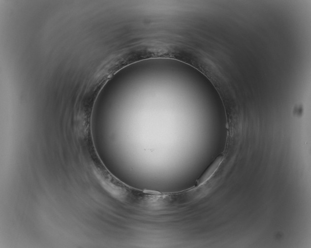 X0000111160136200906301409