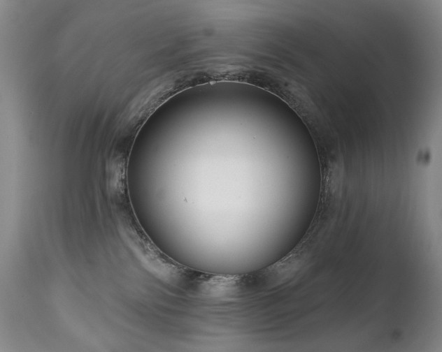 X0000111160138200906301409