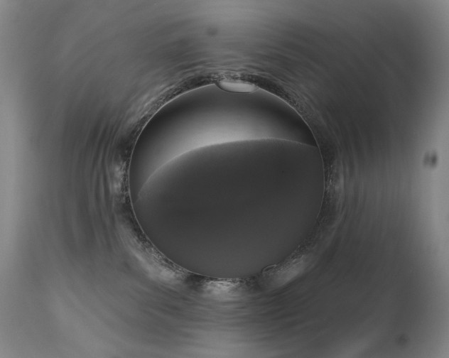 X0000111160139200906301409
