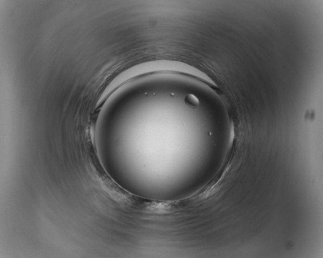 X0000111160140200906301409