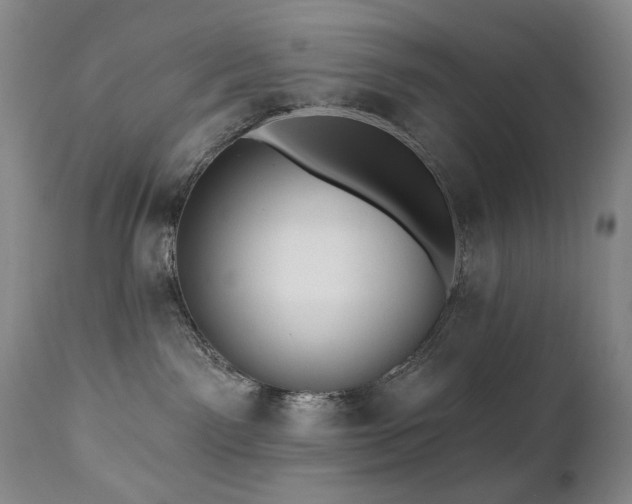 X0000111160141200906301409