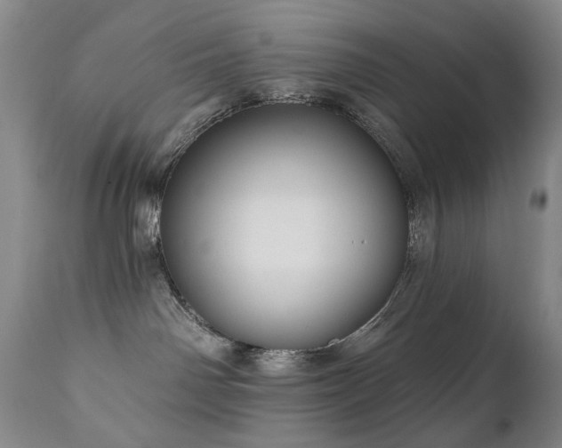 X0000111160142200906301409