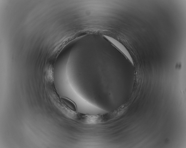 X0000111160143200906301409