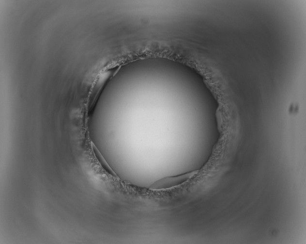 X0000111160144200906301409