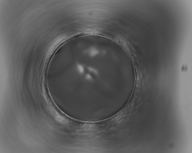 X0000111160145200906301409