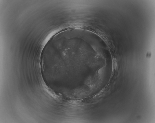 X0000111160147200906301409