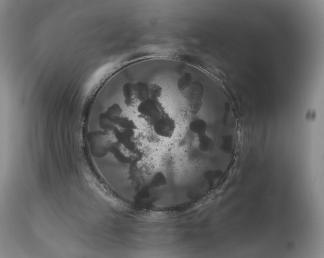 X0000111160149200906301409