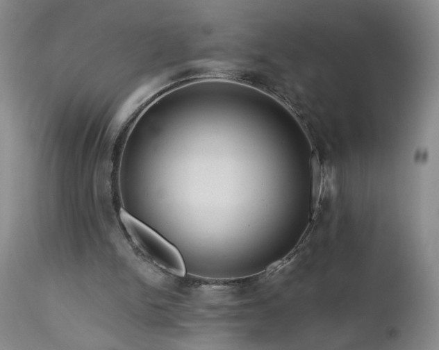 X0000111160150200906301409