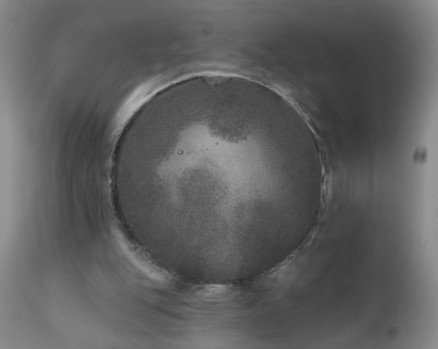 X0000111160151200906301409