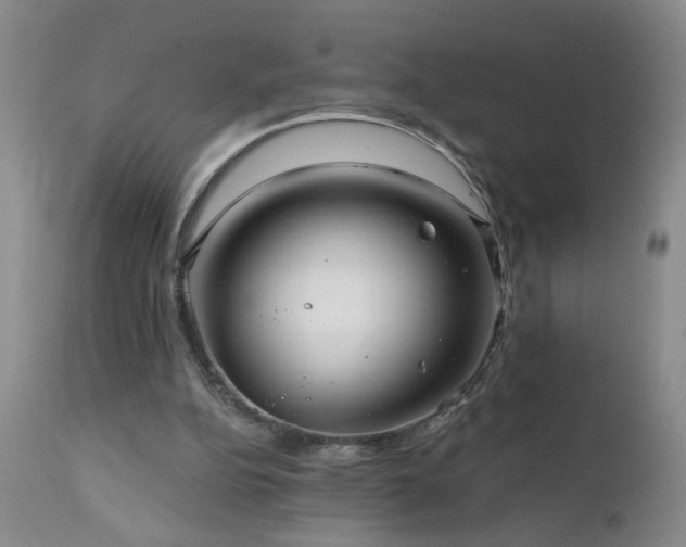 X0000111160152200906301409