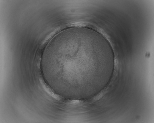 X0000111160153200906301409