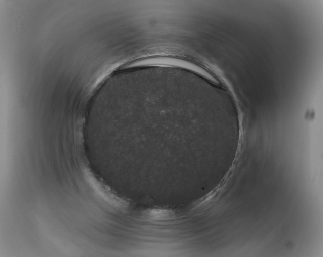 X0000111160154200906301409