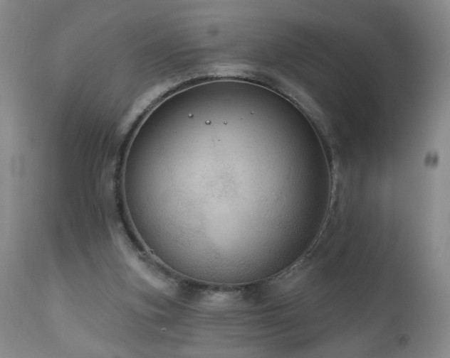 X0000111160155200906301409
