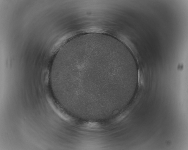 X0000111160157200906301409