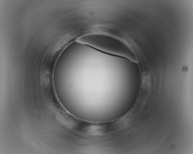 X0000111160158200906301409
