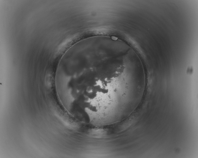 X0000111160161200906301409
