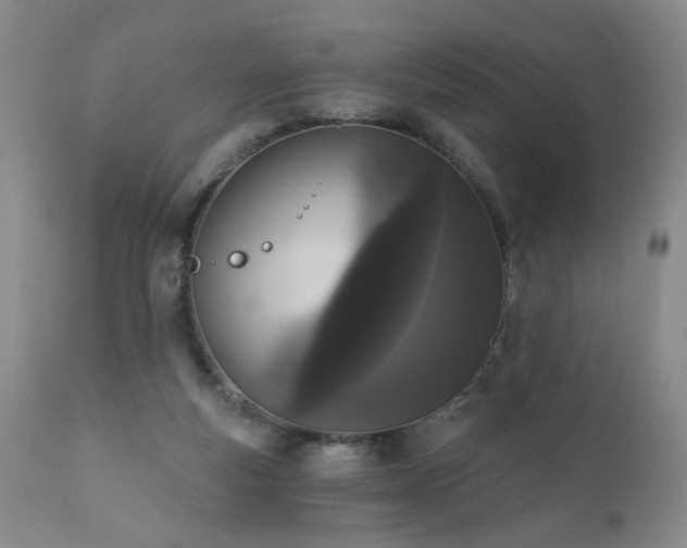 X0000111160163200906301409