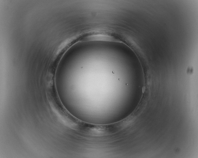 X0000111160164200906301409
