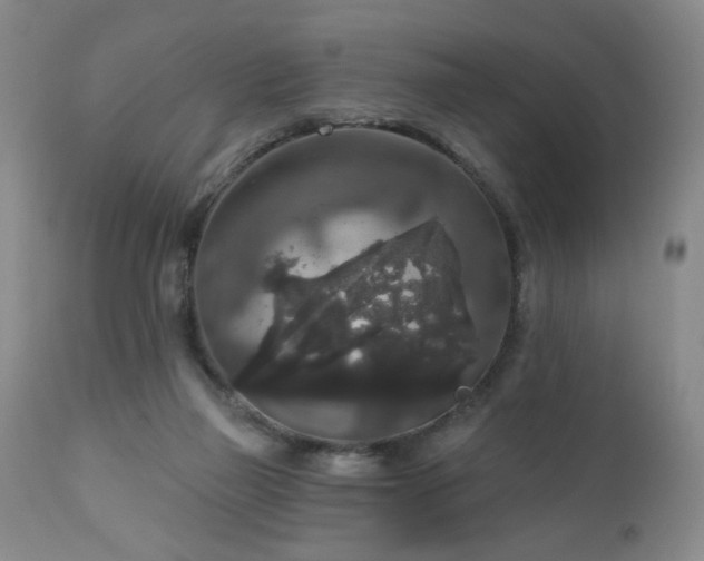 X0000111160165200906301409