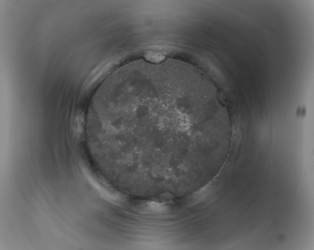 X0000111160166200906301409