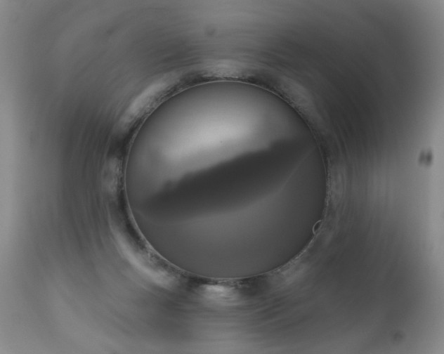 X0000111160167200906301409