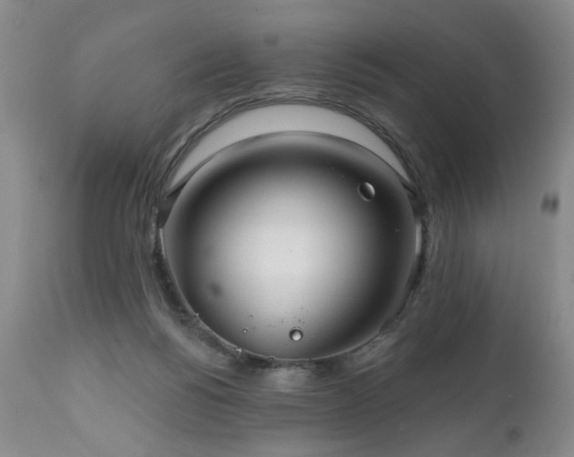 X0000111160168200906301409
